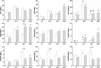 Insulin-like growth factor system components expressed at the conceptus-maternal interface during the establishment of equine pregnancy